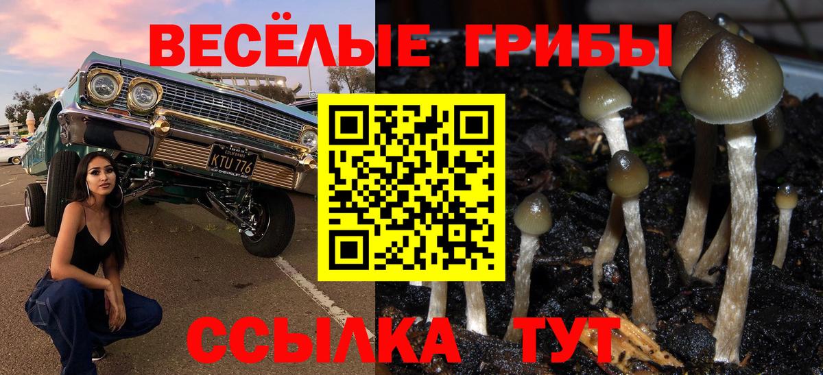 Клин  Галлюциногенные грибы мицелий  Псилоцибиновые грибы прущие грибы  Вход с VPN 