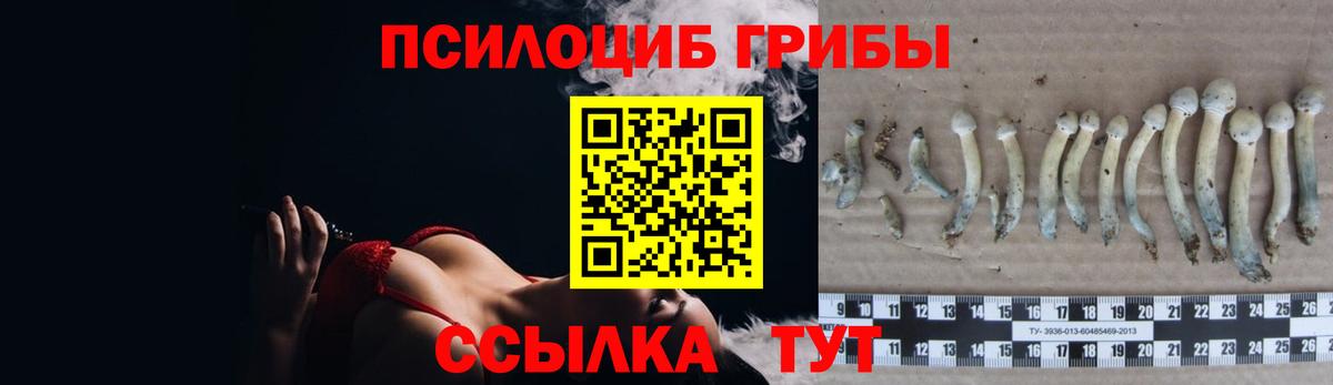 Галлюциногенные грибы MAGIC MUSHROOMS Клин